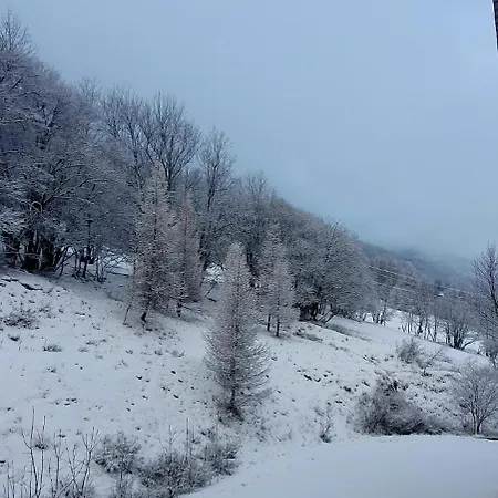 Pied Des Pistes Seignus D'allos * Allos