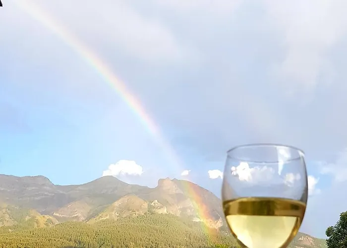 Apartment Pied Des Pistes Seignus D'allos *