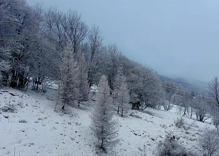 Pied Des Pistes Seignus D'allos * Allos