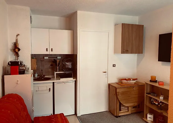 Pied Des Pistes Seignus D'allos * Allos